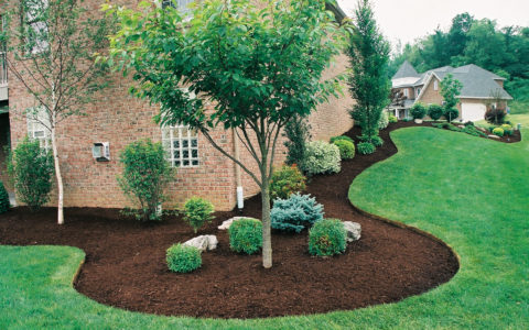 Read more: Tacoma Landscape Maintenance Services