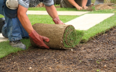 Landscape Construction - Sod, Hardscapes, Irrigation Systems