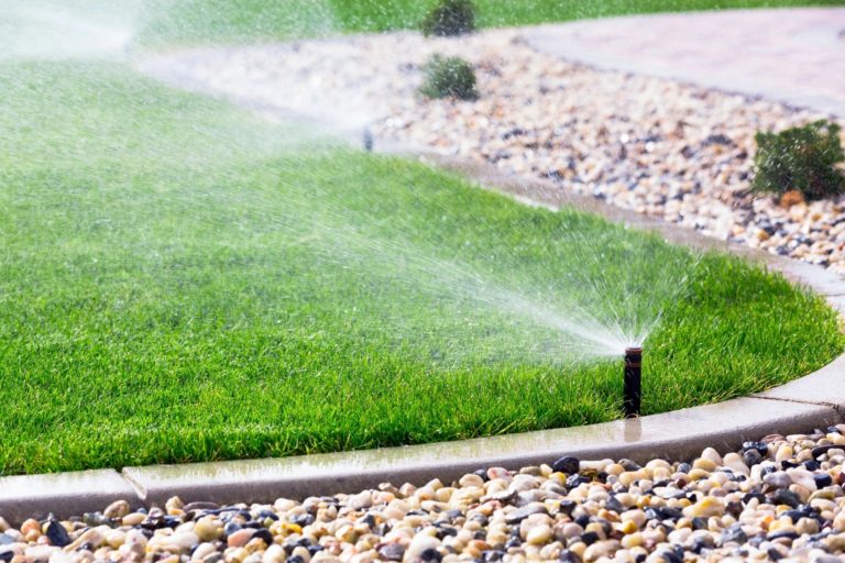 Read more: Irrigation System Design & Construction