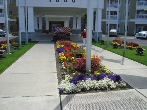 Commercial Landscape Maintenance