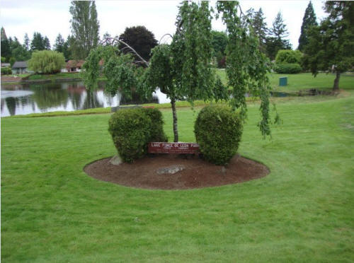 Commercial Landscape Maintenance